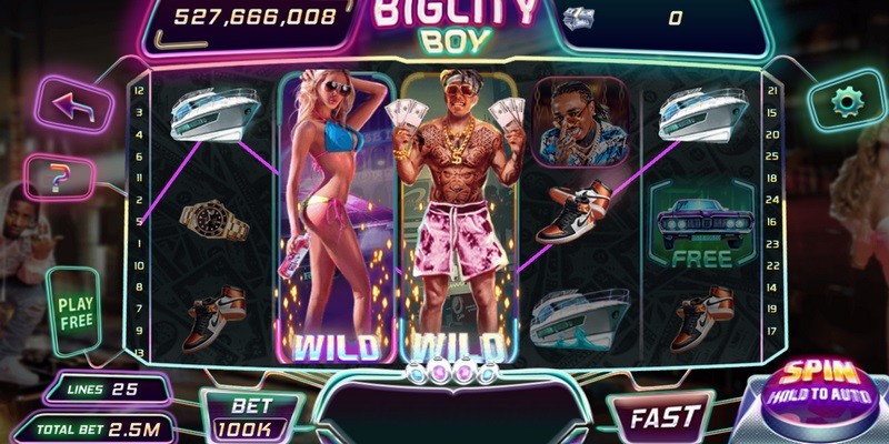 Overview of the Bigcity Boy Game